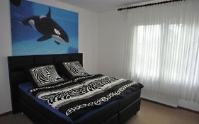 Haus Kenzo 65348